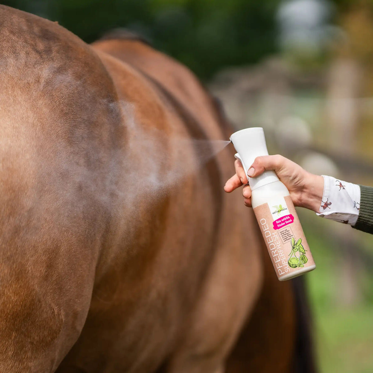 Bense & Eicke PferdeDeo Superfresh zur gleichmäßigen und flächendeckenden Anwendung auf dem Fell des Pferdes