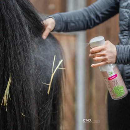 Anwendung von Bense & Eicke Glanzspray beim Einsprühen von Pferdemähne für leichte Kämmbarkeit
