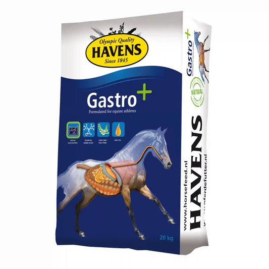 HAVENS Gastro+ magenfreundliches Kraftfutter für Pferde mit strukturreicher Rezeptur und Luzerne
