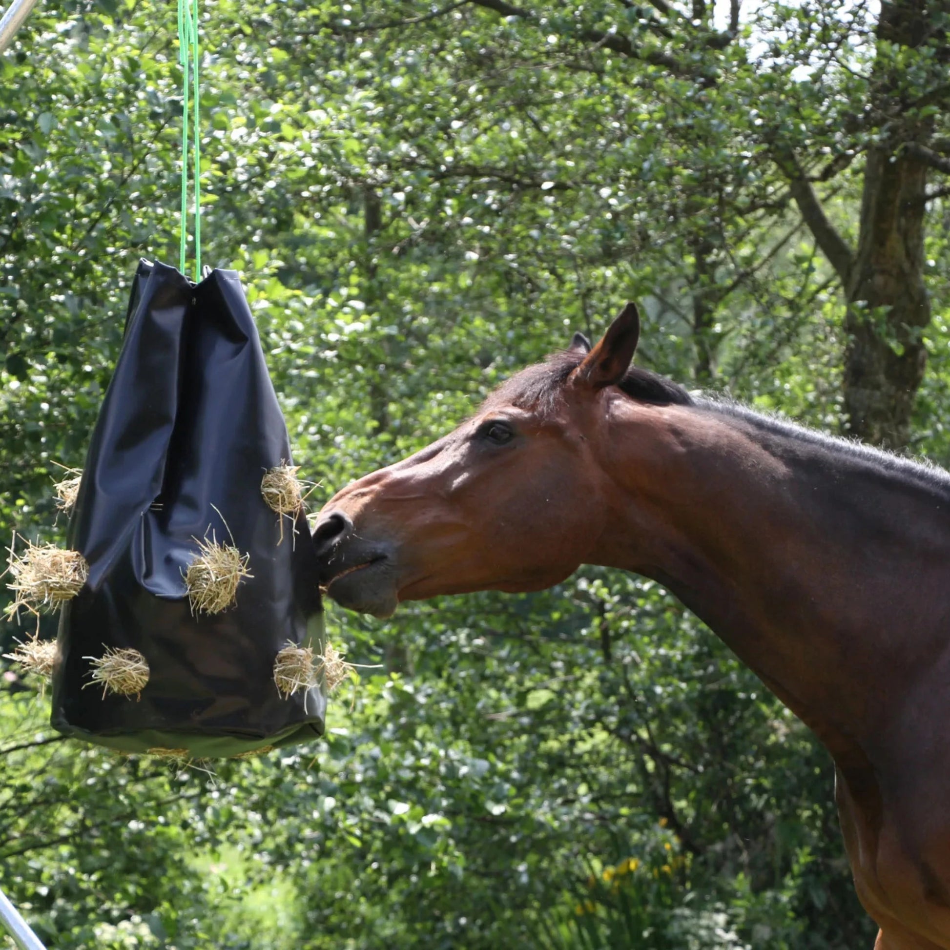 HayBag Heutasche aufgehängt auf der Weide zur langsamen Heuaufnahme für Pferde