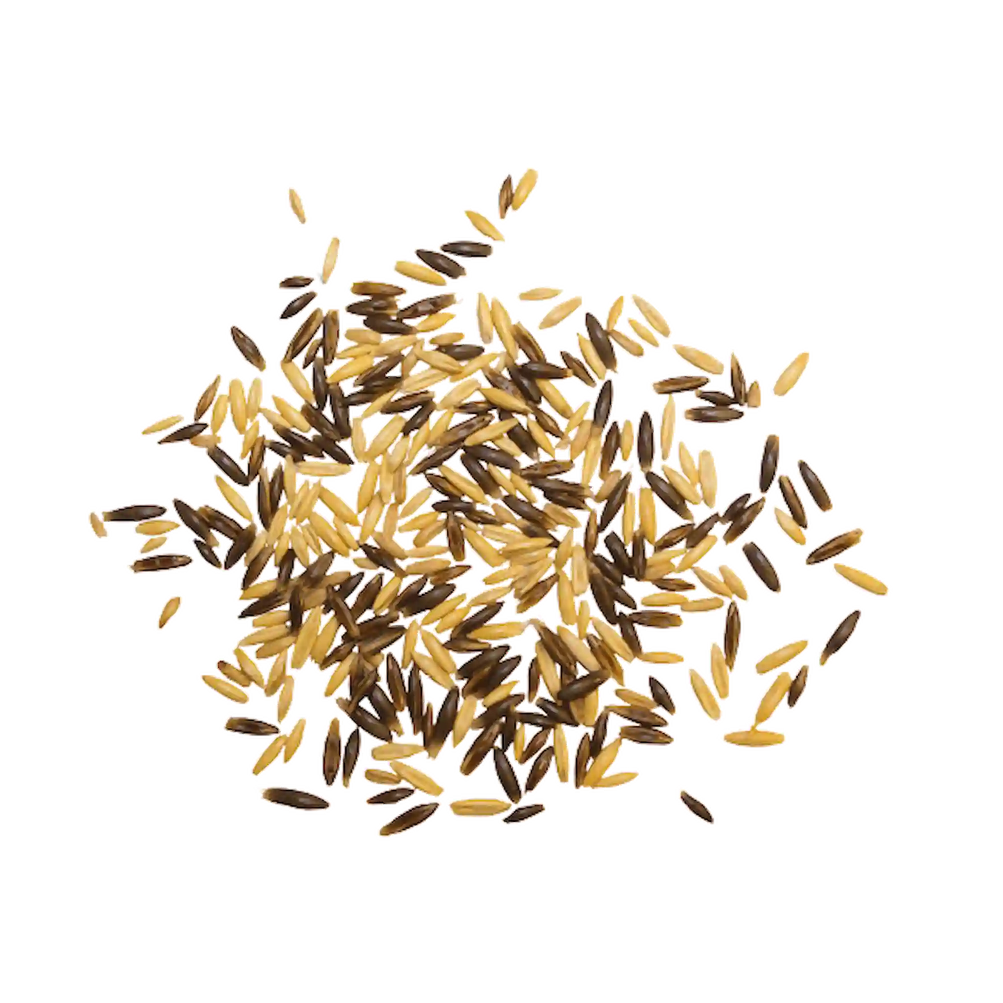Schwarz Gold Hafer für Pferdefütterung bei Sport und Gewichtszunahme
