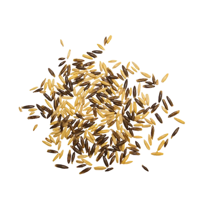 Schwarz Gold Hafer für Pferdefütterung bei Sport und Gewichtszunahme
