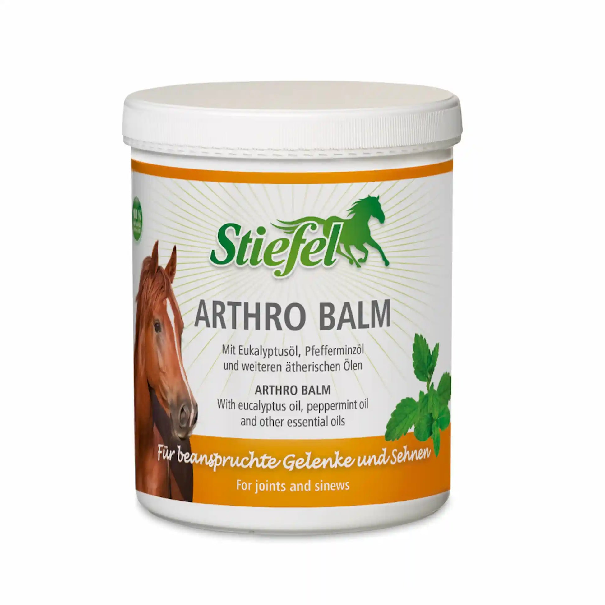 Stiefel Arthro Balm für Pferde zur Pflege von Muskeln Gelenken und Sehnen nach Belastung