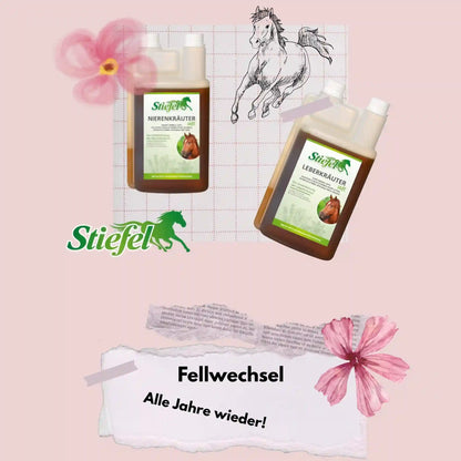 Stiefel Fellwechsel Set für Pferde mit Leber und Nierenkräutersaft zur Unterstützung im Fellwechsel und Stoffwechsel