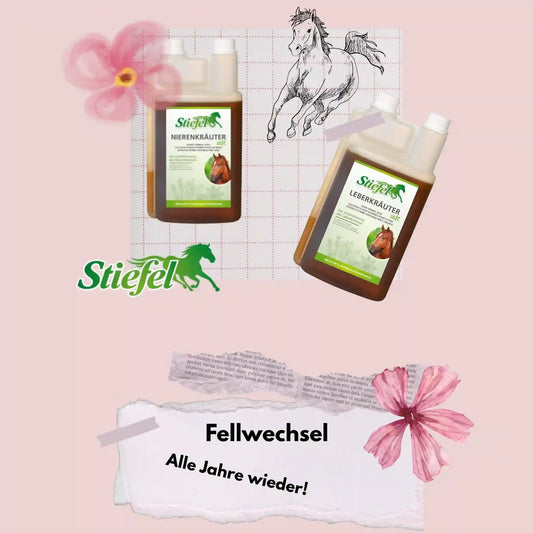 Stiefel Fellwechsel Set für Pferde mit Leber und Nierenkräutersaft zur Unterstützung im Fellwechsel und Stoffwechsel